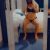 Esenyurt Avcılar Çılgın Escort Bayan Gamze - Image 1 Esenyurt Avcılar Çılgın Escort Bayan Gamze - Image 1
