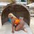 Beylidküzü Esenyurt Yeni Escort Bayan Minah - Image 5 Beylidküzü Esenyurt Yeni Escort Bayan Minah - Image 5